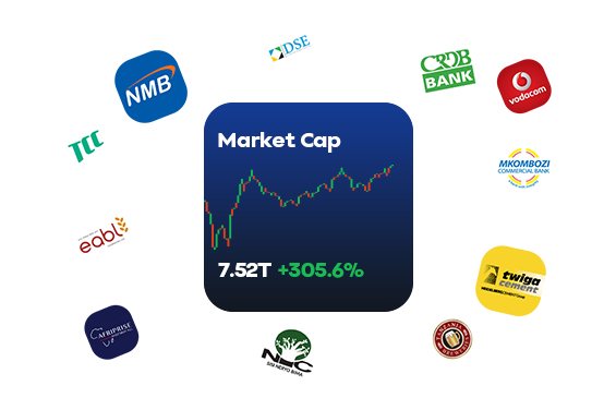 Kadoo Securities Team